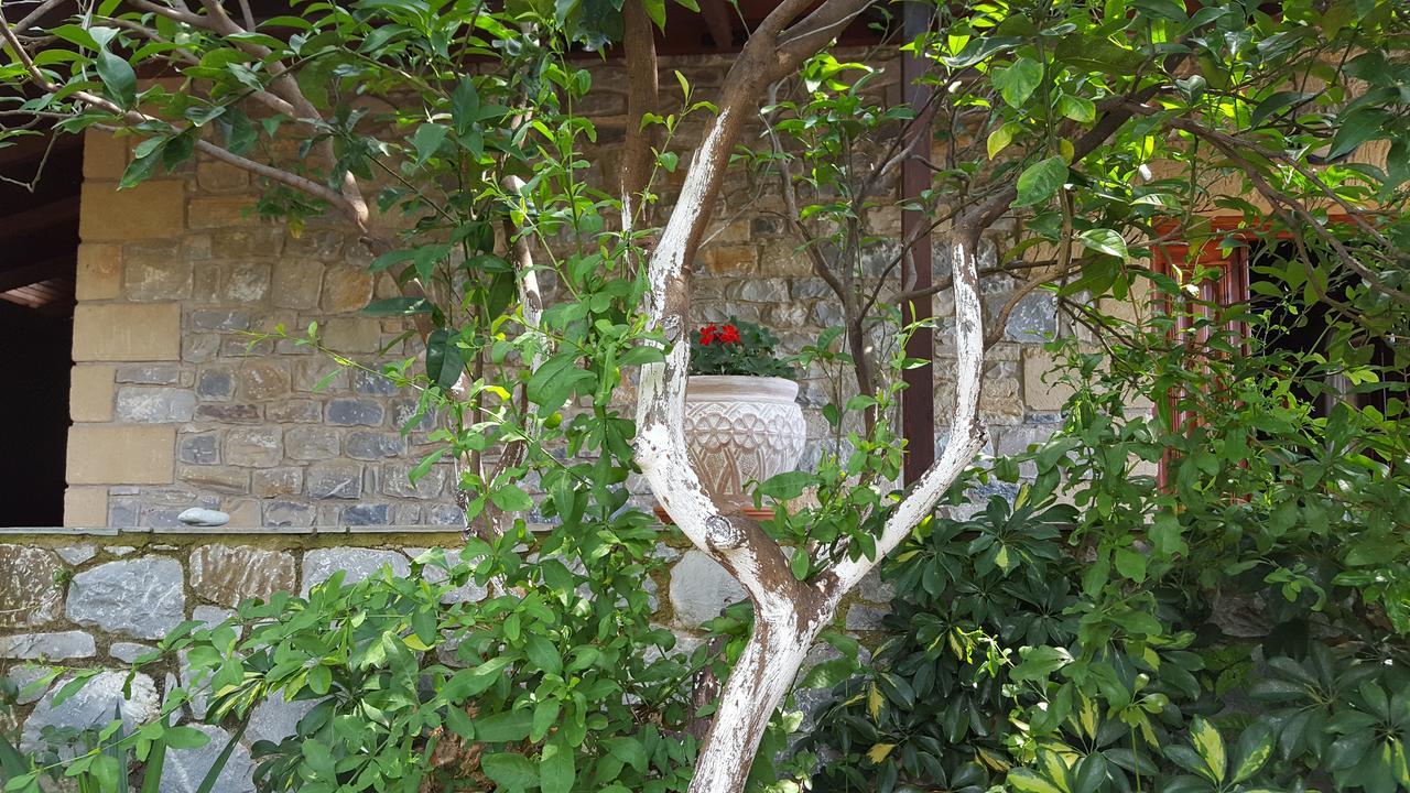 Villa Onar A Stone House With Amazing View Stoúpa Extérieur photo